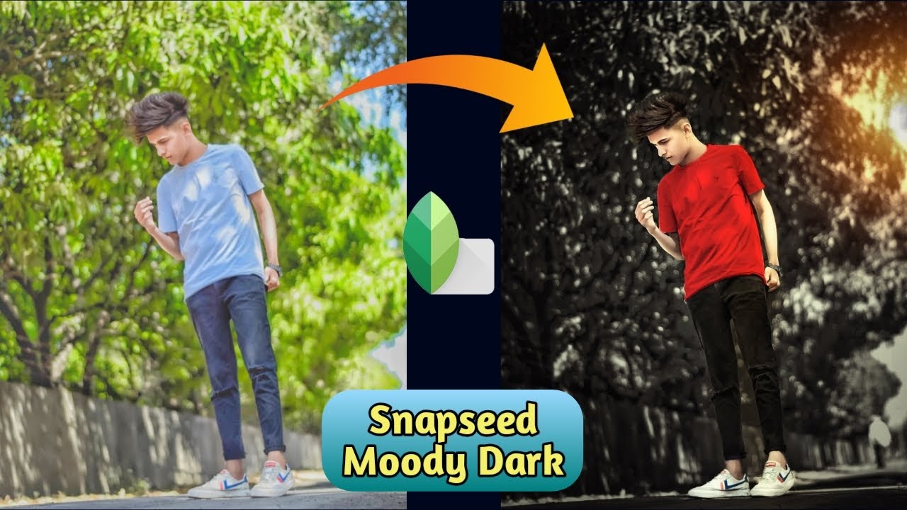 Snapseed Moody Dark Tone Editing Trick