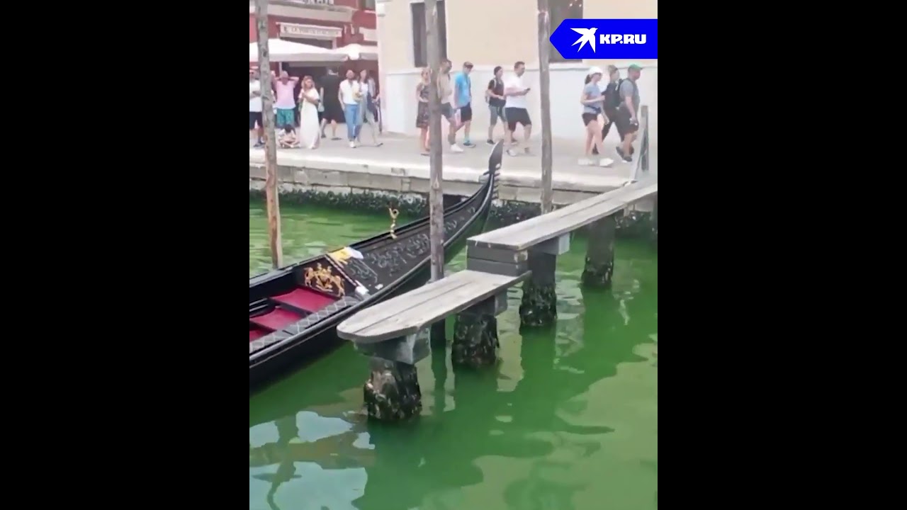 Венеция позеленела