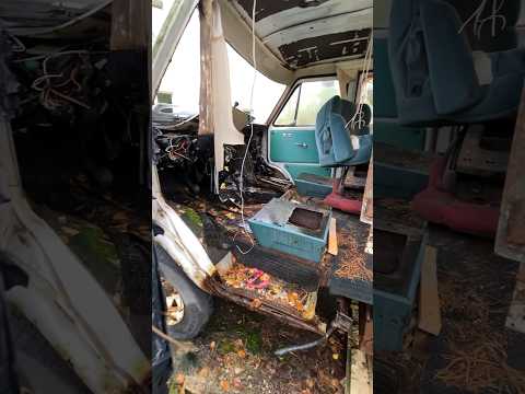 Как я в это вписалась ?!🤭#аннажаки #автодом #домнаколесах #макжак #chevyvan #vanlife