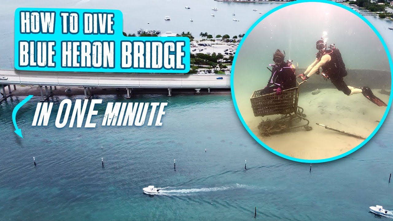 How to dive Blue Heron Bridge 1 minute orientation for Scuba Divers
