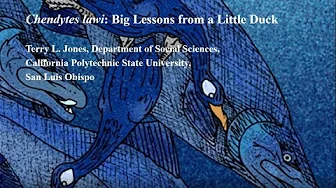 Chendytes lawi: Big Lessons from a Little Duck