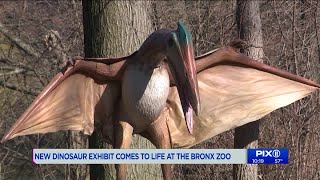 Dinosaur Safari opens April 19th at the Bronx Zoo