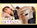 にゃんずと過ごす、のんびりした1日【vlog】