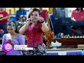 PANTUN JANDA - Voc,ELIA SANJAYA Ft.SATRIA MJ || BERKAH MULYO AUDIO || ANANDA MEDIA ||