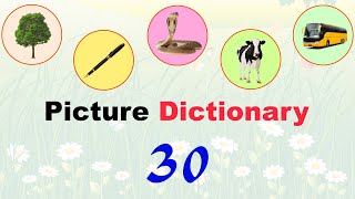 Picture Dictionary - Lesson 30