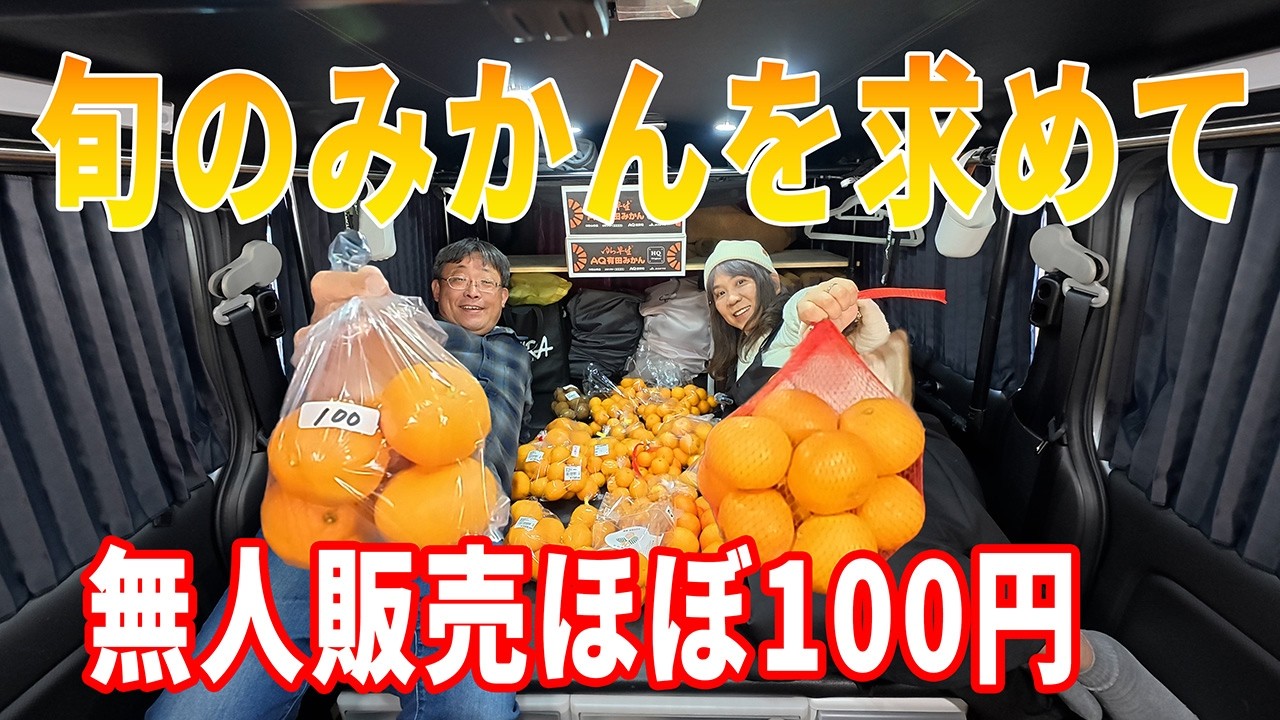 【無人販売・直売所巡り】 旬の有田みかんを格安で買い漁ります！