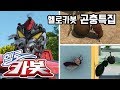 헬로카봇 ★ 곤충 특집 ★ Hello Carbot