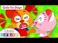 Cats vs Dogs | Kids Songs and Nursery Rhymes by Little Angel