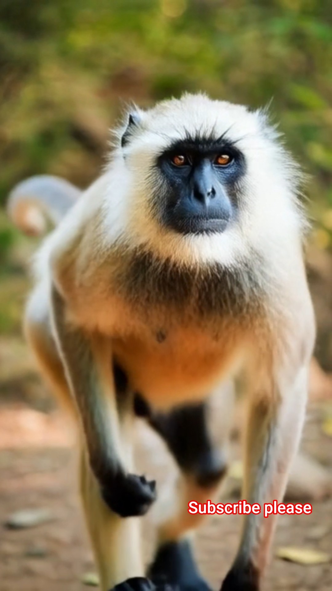 ❤️Love You ज़िंदगी ❤️ - ShareChat