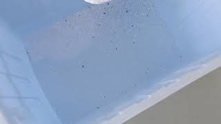 Salt Sorting 1