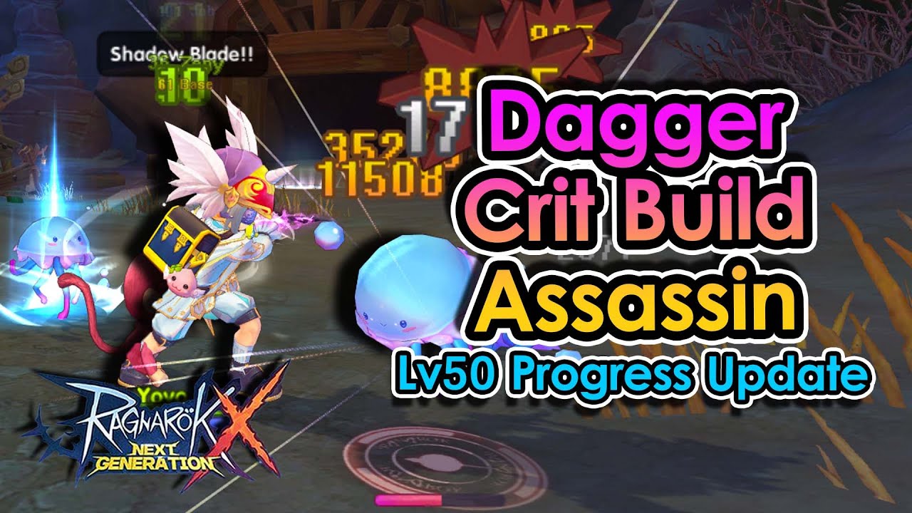 [ROX] Level 50 Dagger Crit Build Assassin Progress Update | King Spade ...