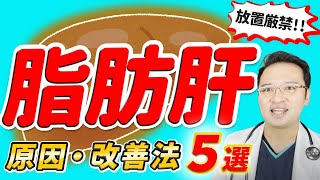 【 放置厳禁 !!】脂肪肝 の 原因 と治 療法 ５選