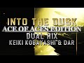 Into the dusk ace of aces edition ace combat 5 the unsung war  dual mix keiki kobayashi  dar