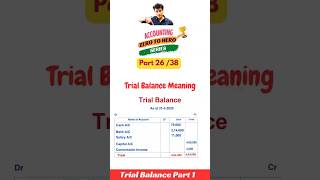 Trial Balance  Introduction | Accounting Zero to Hero series | Part 26  #trialbalance  #accounting