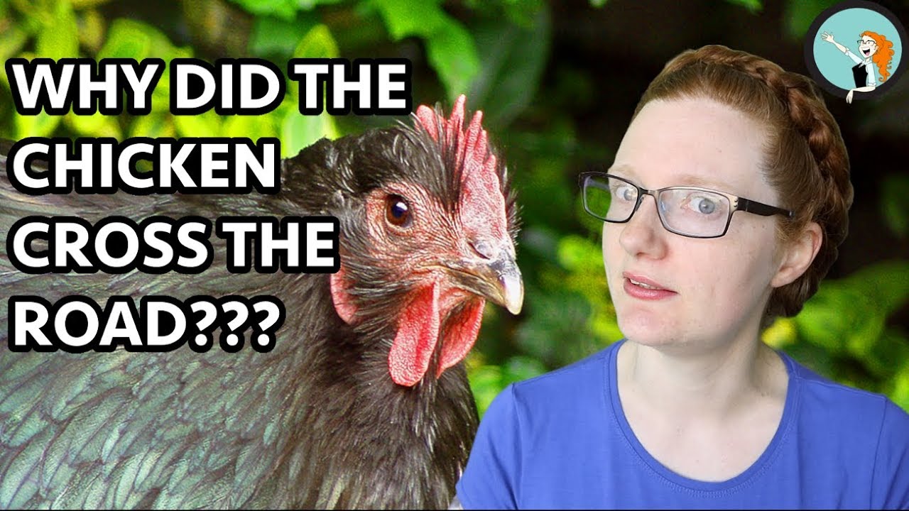 Why Did The Chicken Cross The Road It S Actually Pretty Dark Youtube