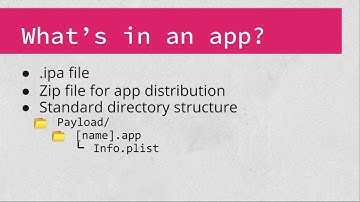 iOS Hacking - Application Basics