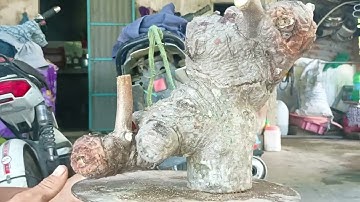 dx)15m789 gl nhánh  cốc  chua 200k lh0707713796khuongb0nsai