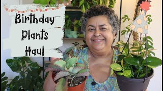 Houseplants And Cacti Haul Birthday Plants Haul