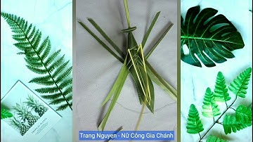 DIY Cách Làm Con Cào Cào Đẹp Bằng Lá Dừa Cực Đơn Giản