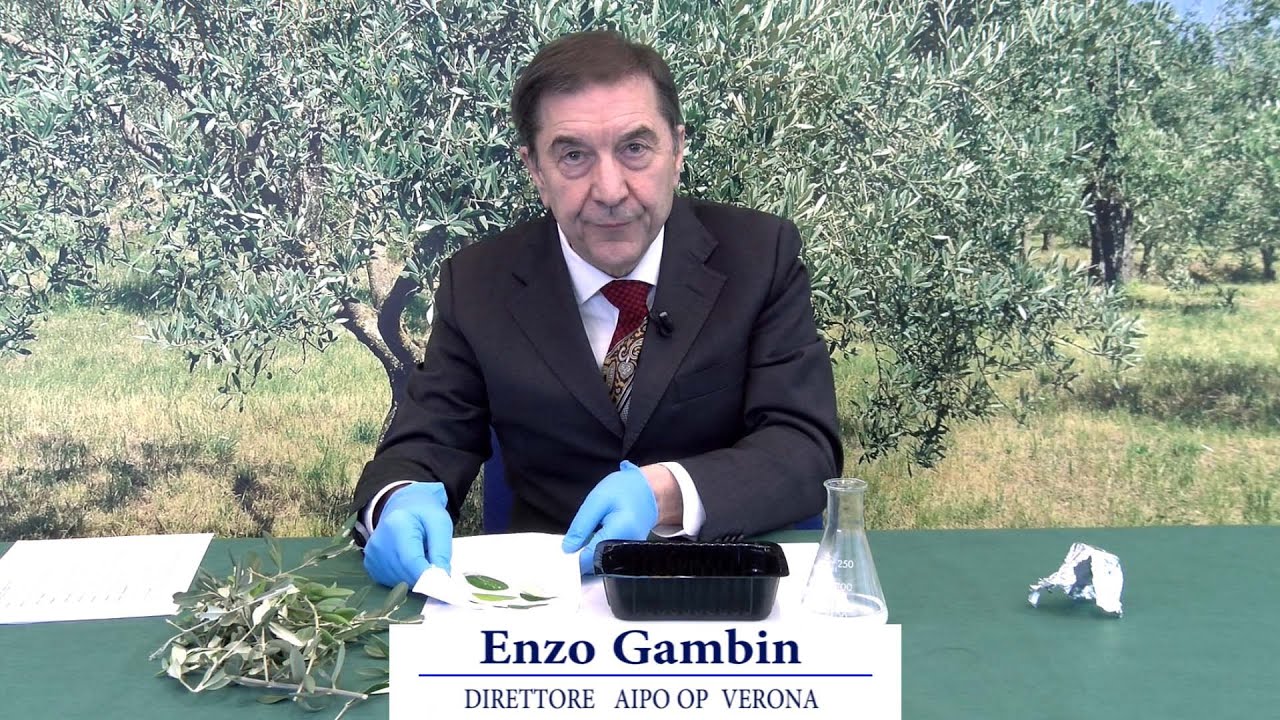 Periodico Olivo 27 Dicembre 2025