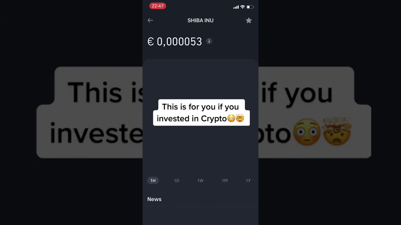 Everybody with shiba these past days🚀 