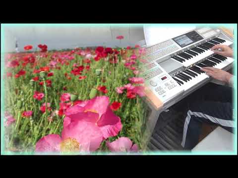 ♪　シェルブールの雨傘　♬　エレクトーン（ELS-02)演奏