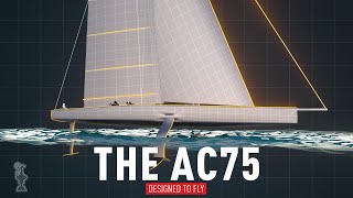 The AC75 | Designed to Fly