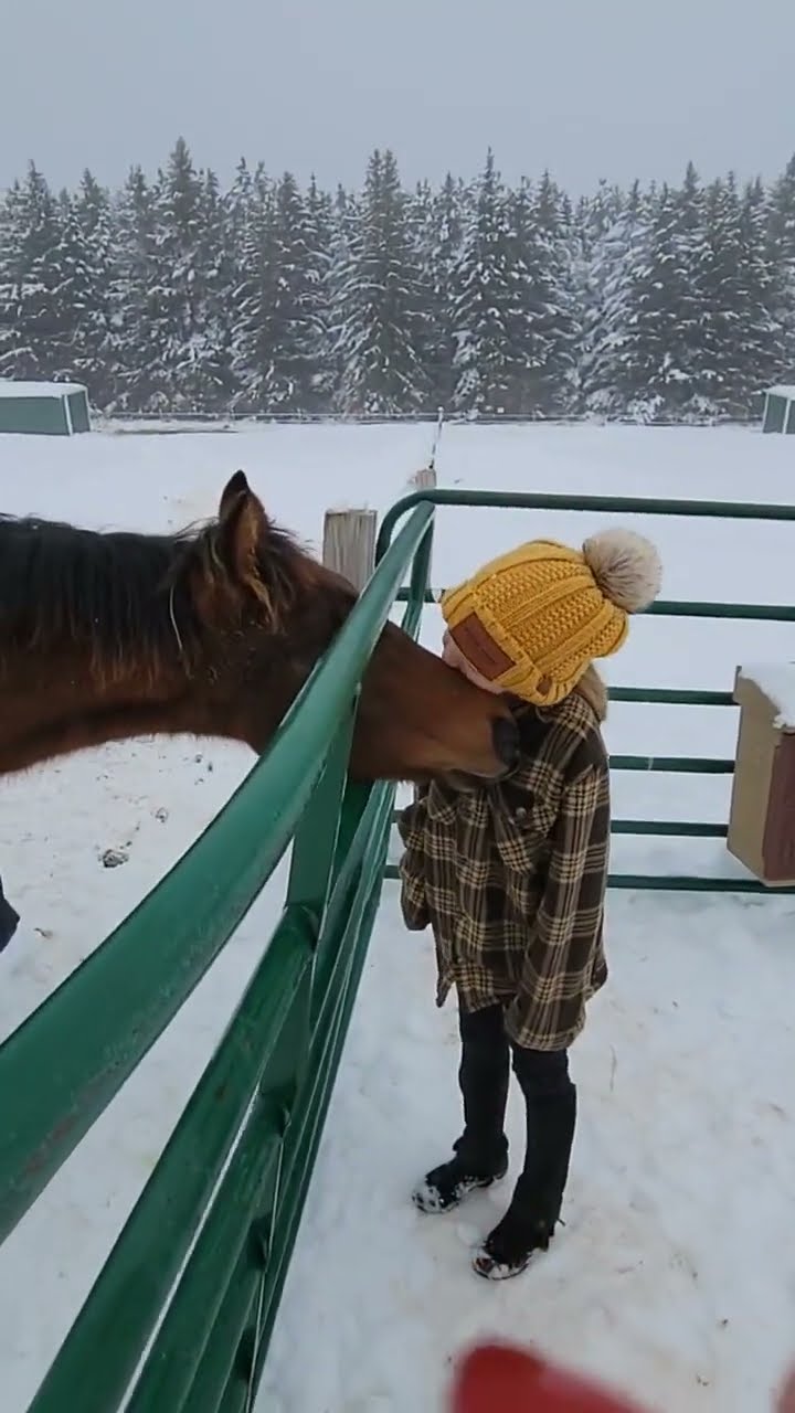 Horse Loves Giving Kid Kisses || ViralHog