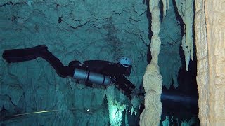 Best of diving in cenotes, Mexico (HD) @VincentRemede