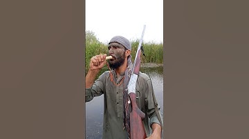 Mastering Duck Calls: A Hunting Guide | Waterfowl Hunting: Duck Calling Strategies