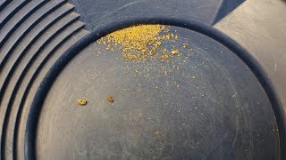 Southern California Gold Prospecting, Kern River Valley