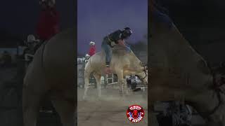 GÜERITO Y GOYO DE JALISCO SE DIERON HASTA PARA LLEVAR.!!