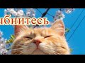 СМЕШНОЕ ПРО ЖИВОТНЫХ ПОЗИТИВ Создай себе хорошее настроение