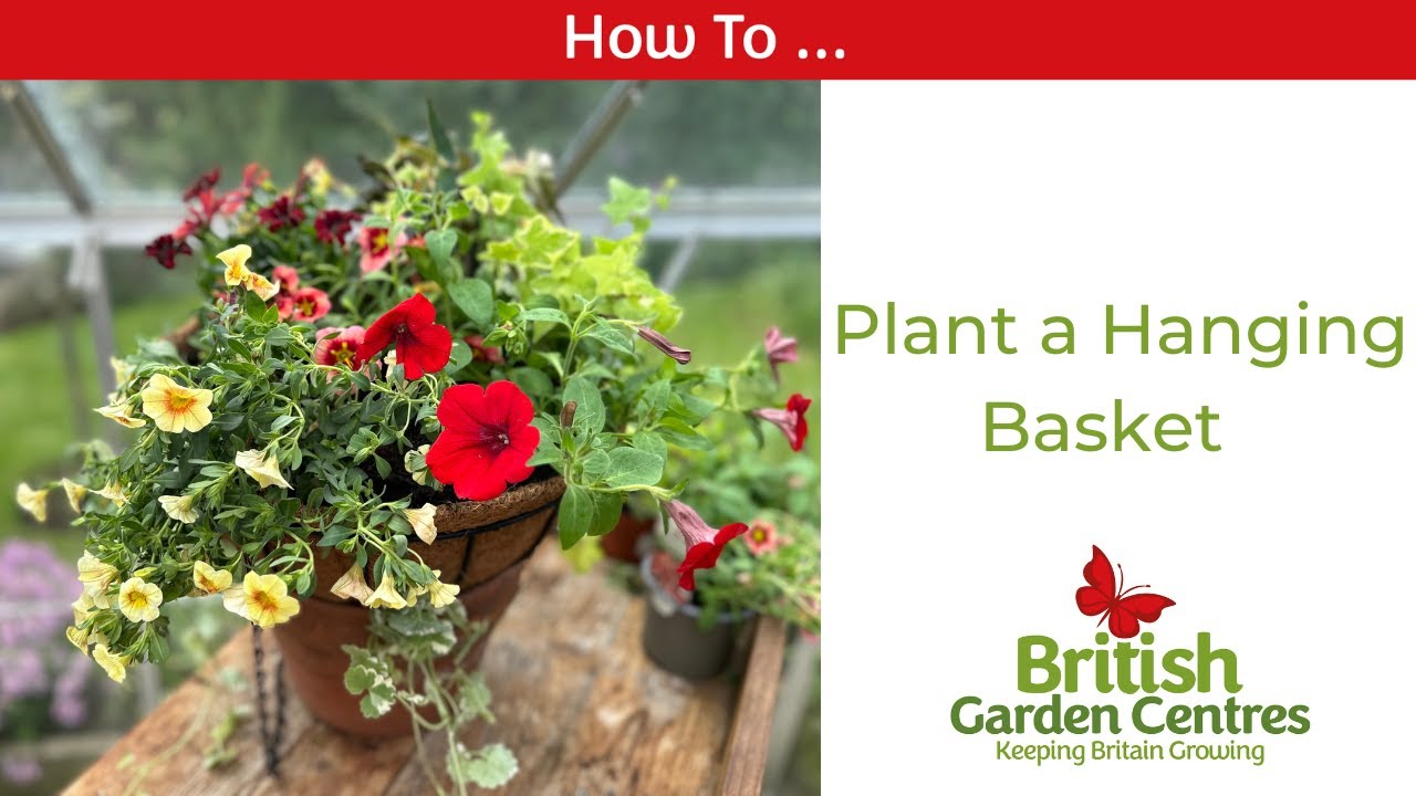 How to plant a Hanging Basket - YouTube