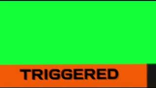 Triggered meme green screen (FREE2USE)