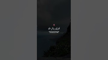 الذين أمنوا وتطمئن قلوبهم بذكر الله | القارئ عبد الرحمن مسعد | قرآن كريم ..♡