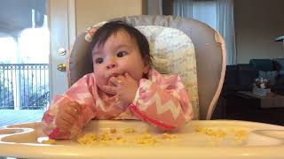baby led weaning cheese