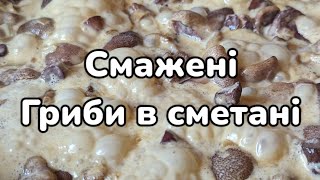 Гриби в сметані, як смажити маслята маслюки в сметані. Як жарити гриби просто і швидко з цибулею