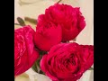 Утро начинается с красоты! ❤️