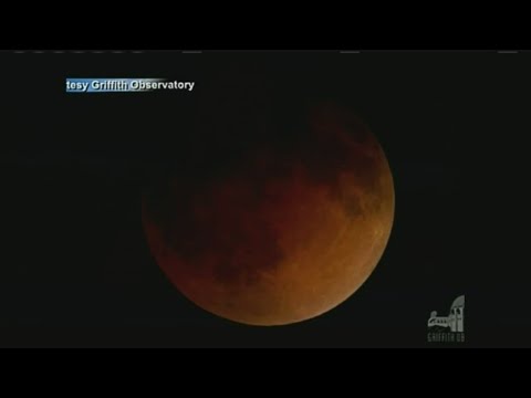 What's the difference between a solar eclipse and a lunar eclipse?