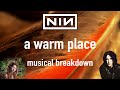 "A WARM PLACE" - musical analysis (Nine Inch Nails // The Downward Spiral)