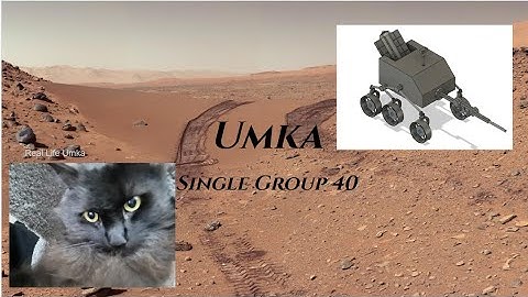 Introduction Video Report MEC 203 Single Group 40