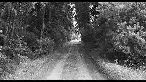 ƬЯΛЦMΛЯӨӨM ᄂV1 - Lost on a path