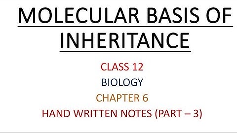 CLASS 12 | BIOLOGY | CHAPTER 6 | MOLECULAR BASIS OF INHERITANCE | HAND WRITTEN NOTES | PART - 3