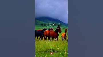 ✨سورة النساء✨عبد الباسط عبد الصمد #tiktok #اكسبلور #قرآن #قران_كريم #تيك_توك #راحة_نفسية #حالات_واتس