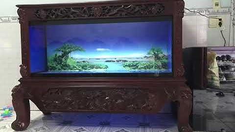 Hồ cá rồng thi công tại nhà anh Oai  Biên Hòa - Đồng Nai