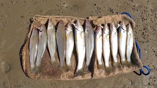 SIMPLE BAIT | GREAT FISHING | Catch Clean and Cook