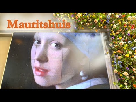 Βίντεο: Μουσείο Τέχνης Περιγραφή και φωτογραφίες Mauritshuis - Ολλανδία: Χάγη