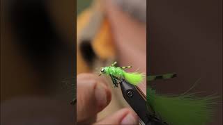 An Epic Crappie and Bluegill Fly!