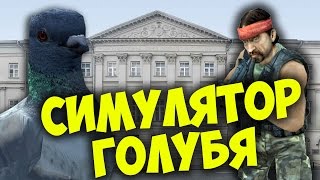 Симулятор Голубя 3D. Стрим с телефона. screenshot 5